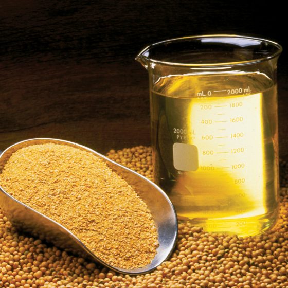Soybean Oil Meal and Beans 10059732523 560x560 - صفحه اصلی